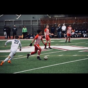 Meet your Posher, Oscar